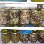 Как долго можно хранить соленые грибы в холодильнике