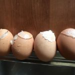 Как правильно заморозить яйца