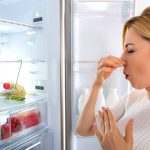 Чем помыть холодильник чтобы не было неприятного запаха