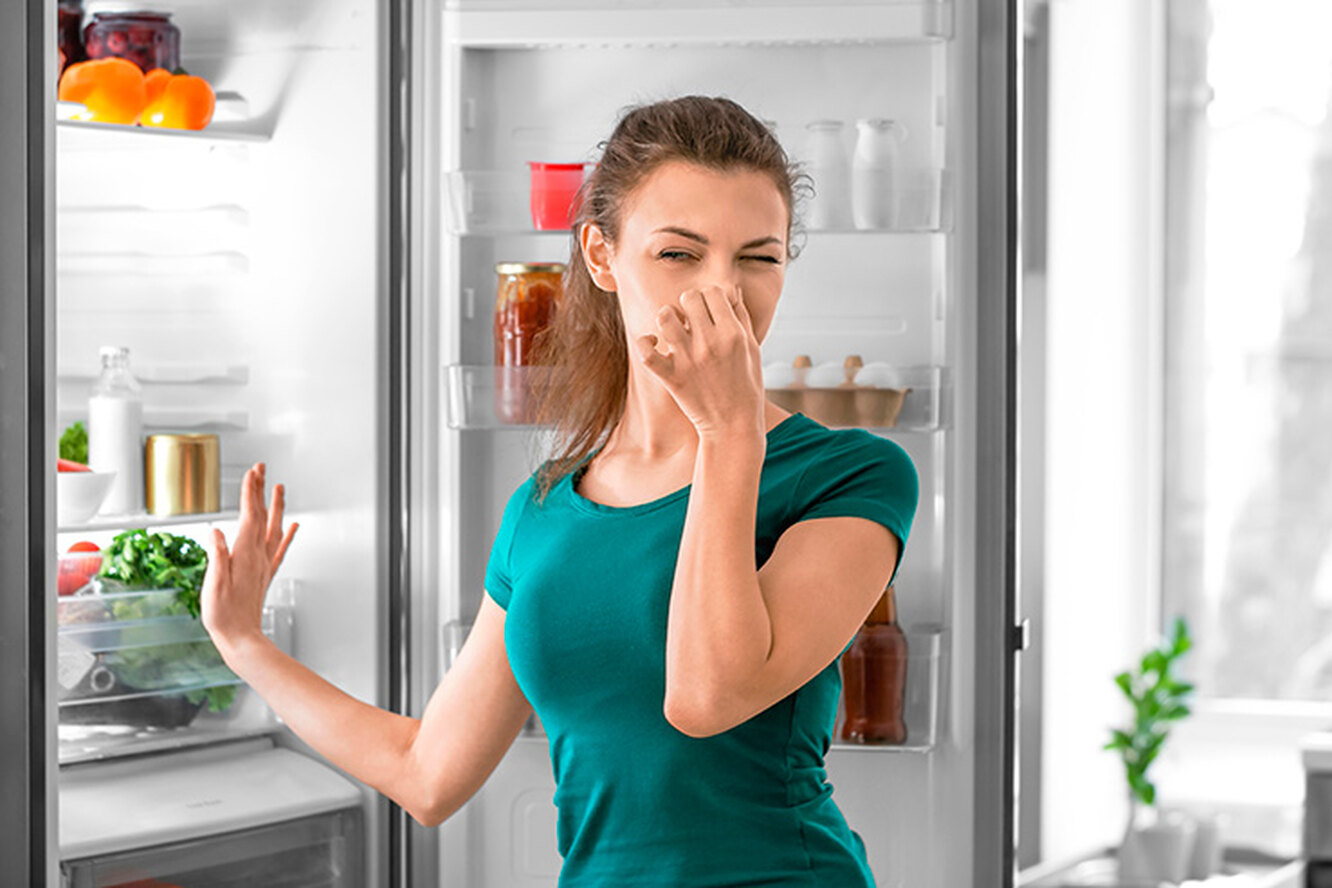 Что делать если запах в холодильнике