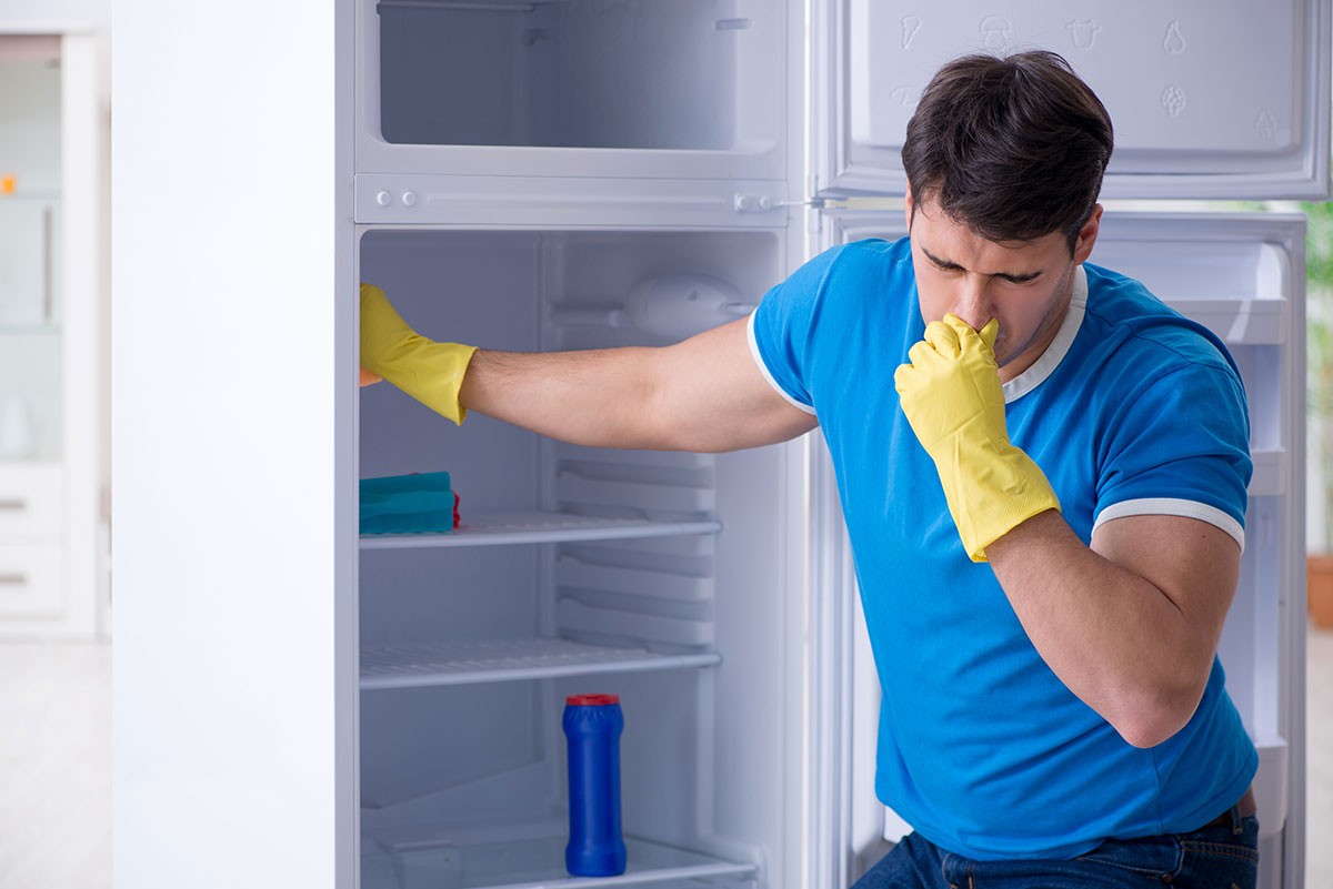 Как избавиться от запаха в холодильнике No Frost