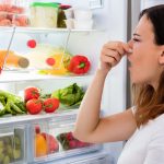 Почему в холодильнике запах