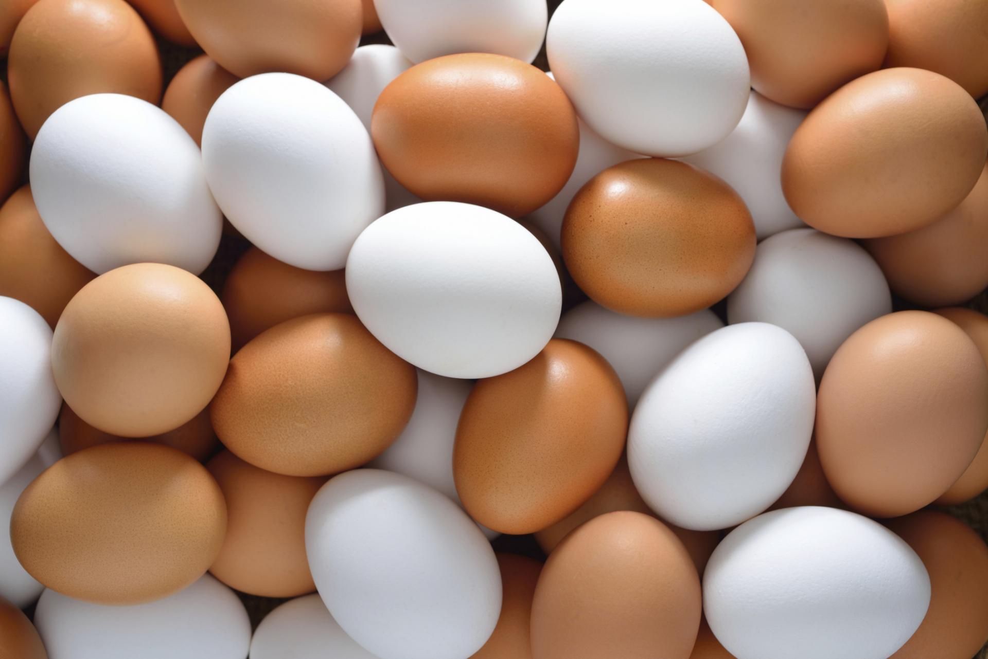 Сколько хранятся яйца без холодильника